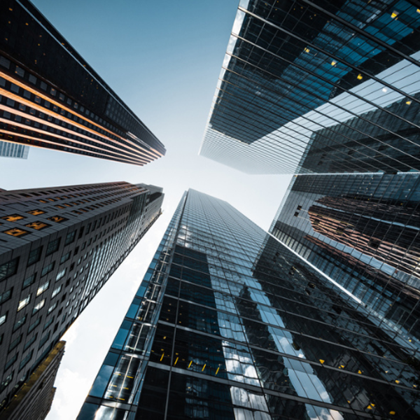 Picture of Business Law: Choice of Entity 2024 Edition